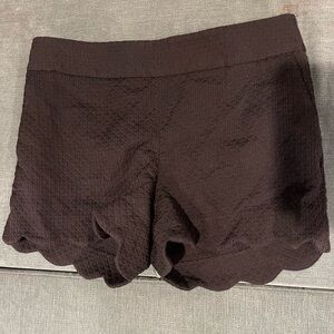 LOFT Black Scalloped Textured Shorts